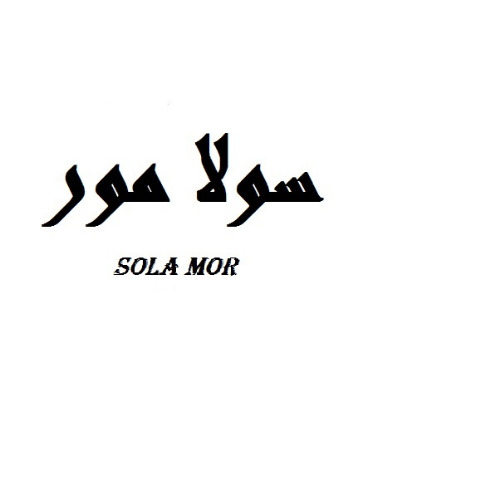 علامت تجاری سولامور  متعلق به شرکت کیمیا آوند کارن