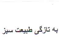 علامت تجاری به تازگي طبيعت سبز متعلق به شرکت طبیعت سبز پارس کهن