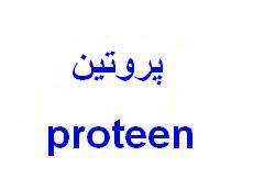 علامت تجاری پروتين  متعلق به شرکت فرآورده های لبنی تین