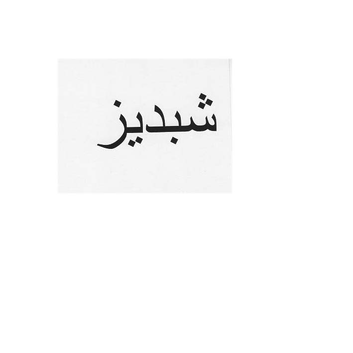 علامت تجاری شبديز متعلق به شرکت مهتاب طوس راه