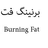 علامت تجاری برنينگ فت  متعلق به شرکت درمان یاب دارو