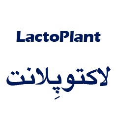 علامت تجاری لاكتوپلنت  متعلق به شرکت زیست تخمیر