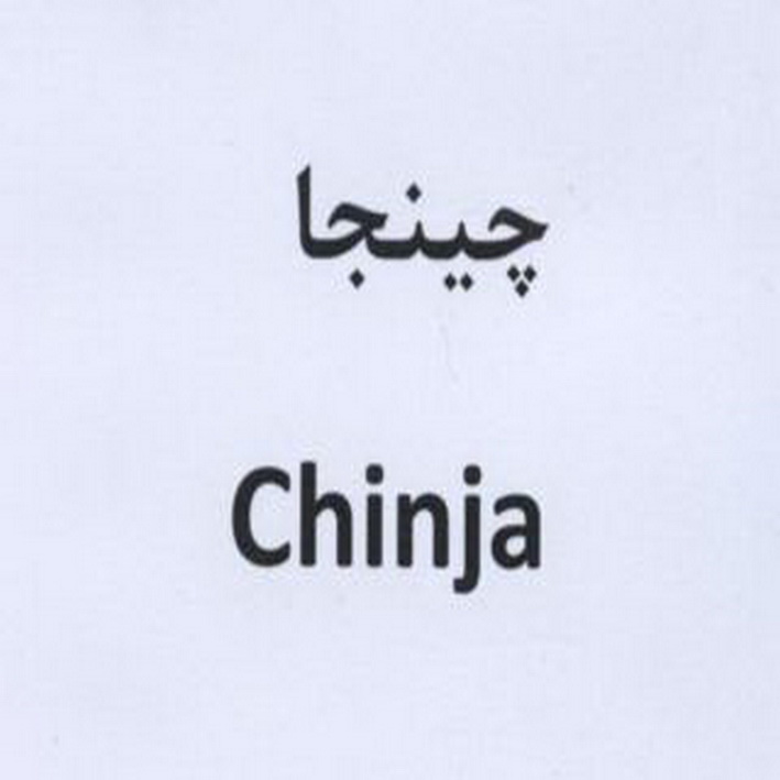 علامت تجاری چينجا  متعلق به شرکت شیر دشت بکا