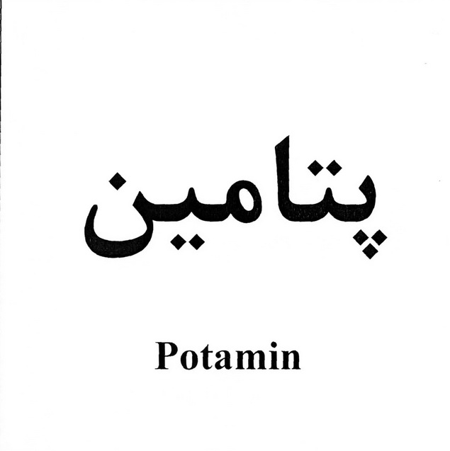 علامت تجاری پتامين   متعلق به شرکت داروسازی امین