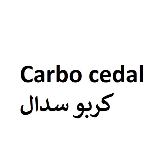 علامت تجاری کربوسدال متعلق به شرکت سه دال نانو