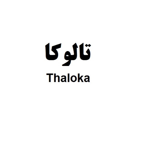 علامت تجاری تالوکا متعلق به شرکت تدبیر کالای جم