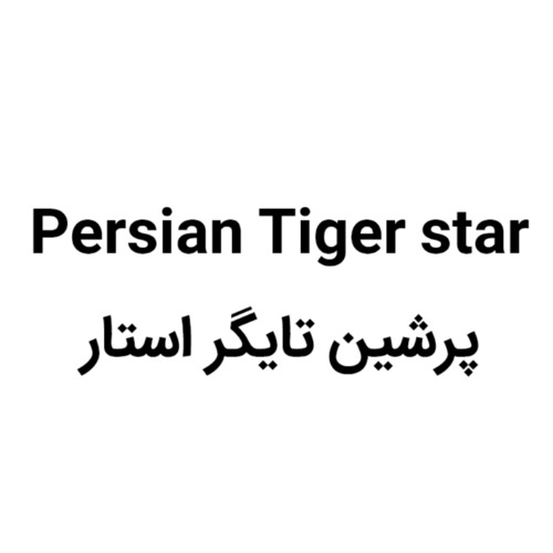 علامت تجاری پرشین تایگر استار متعلق به شرکت نیل گستر غرب گلستان