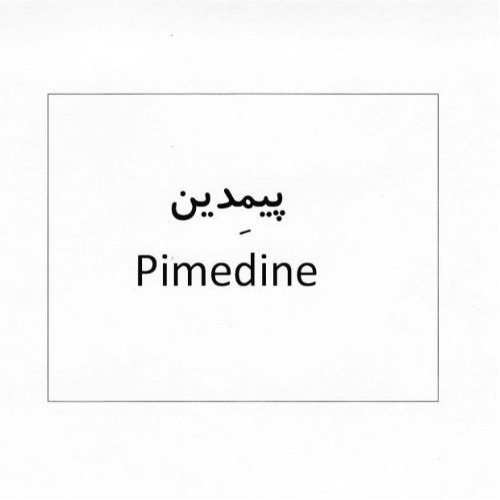 علامت تجاری پیمدین متعلق به شرکت دامیاران اراک