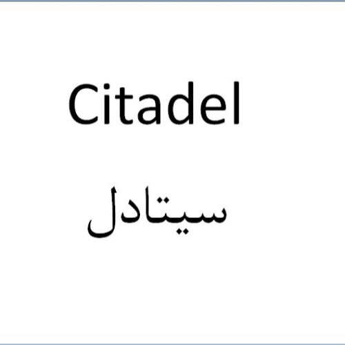 علامت تجاری سیتادل متعلق به شرکت پایا پارت نوین