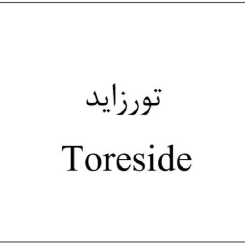 علامت تجاری تورزاید متعلق به شرکت آرنا حیات دانش