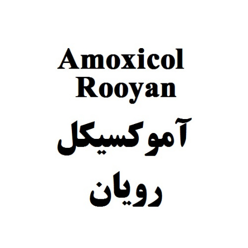 علامت تجاری آموکسیکل رویان متعلق به شرکت رویان دارو