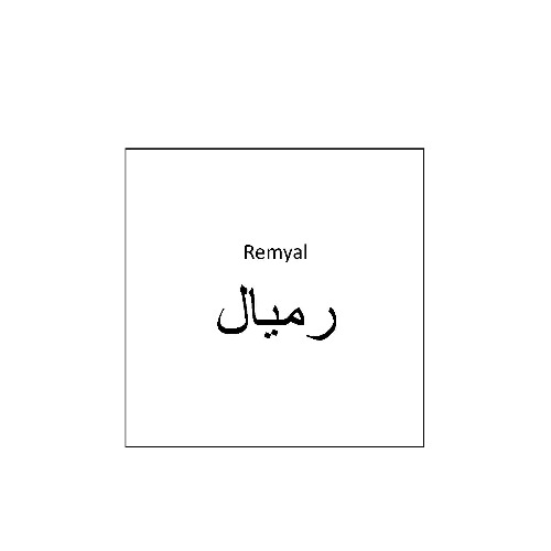 علامت تجاری رمیال متعلق به شرکت دارو سازی آنوشا