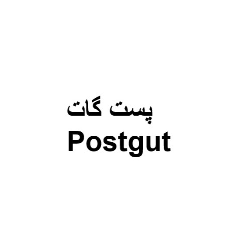 علامت تجاری پست گات متعلق به شرکت بنیان سلامت کسری