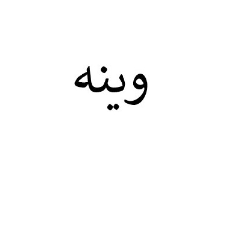 علامت تجاری وینه متعلق به شرکت رایان نیک تجهیز