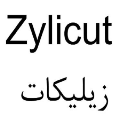 علامت تجاری زیلیکات متعلق به شرکت درمان یاب دارو
