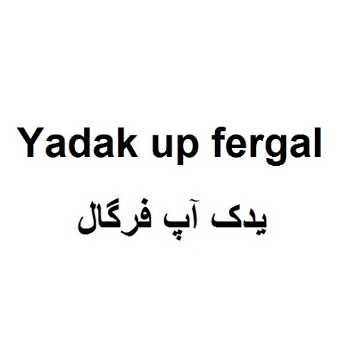 علامت تجاری یدک آپ فرگال متعلق به شرکت جاوید امروز اسپادانا
