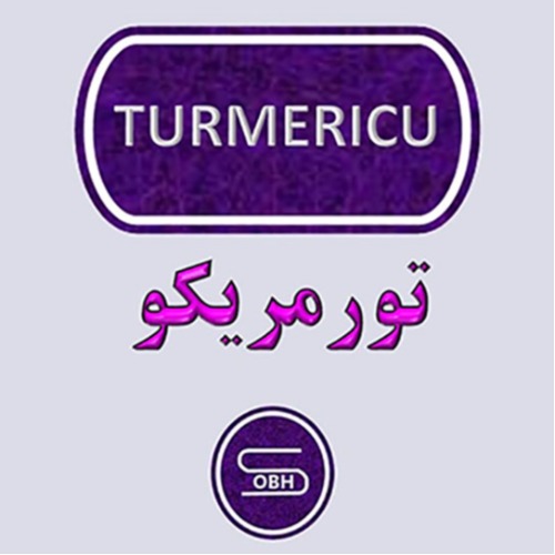 علامت تجاری تورمریکو متعلق به شرکت سینا امید برنا هوشمند