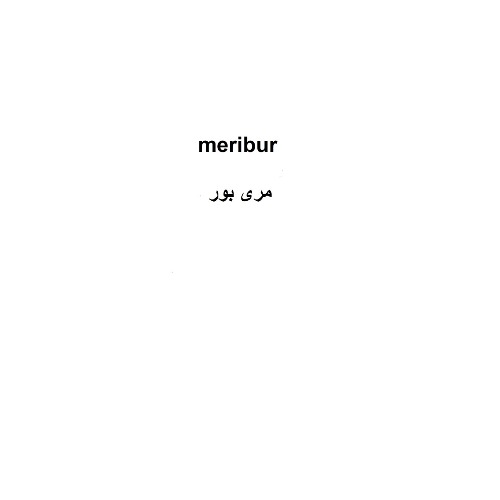 علامت تجاری مری بور متعلق به شرکت تریتا داروی آرتا