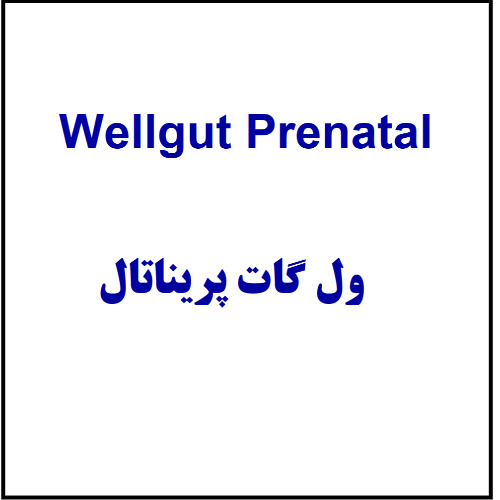 علامت تجاری ول گات پریناتال متعلق به شرکت زیست تخمیر