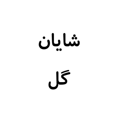 علامت تجاری شایان گل متعلق به شرکت شایان گل اصفهان