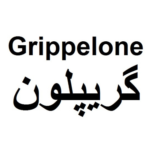 علامت تجاری گریپلون متعلق به شرکت رویان دارو