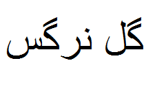 علامت تجاری گل نرگس متعلق به شرکت صنایع سلولزی بهداشتی فارس رعنا