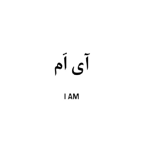 علامت تجاری اي ام  متعلق به شرکت گروه صنعتی بین المللی محصولات پارس