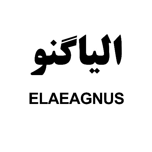 علامت تجاری الياگنو  متعلق به شرکت کشت و صنعت نیوشا داریان