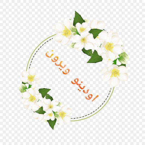علامت تجاری اودينو ويرون متعلق به شرکت تعاونی محصولات غذایی تیوا سیوند