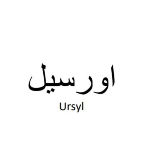 علامت تجاری اورسيل  متعلق به شرکت اکتوورکو
