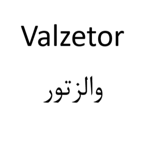 علامت تجاری والزتور متعلق به شرکت اکتوورکو