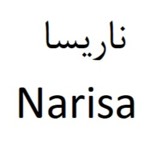 علامت تجاری ناريسا  متعلق به شرکت پاکان پلاستکار