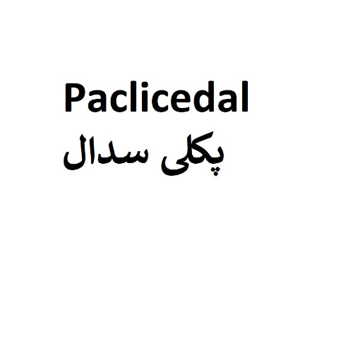 علامت تجاری پكلي سدال متعلق به شرکت سه دال نانو