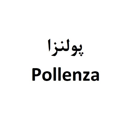 علامت تجاری پولنزا متعلق به شرکت صنعتی زر ماکارون