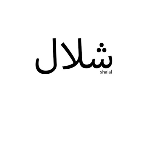 علامت تجاری شلال متعلق به شرکت یاران تجارت امیران