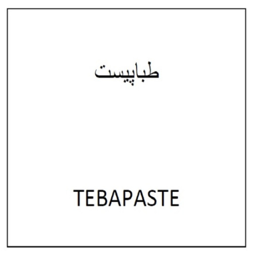 علامت تجاری طباپيست   متعلق به شرکت طبا زیست پلیمر