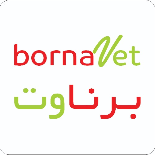 علامت تجاری برناوت  متعلق به شرکت آیریا برنا