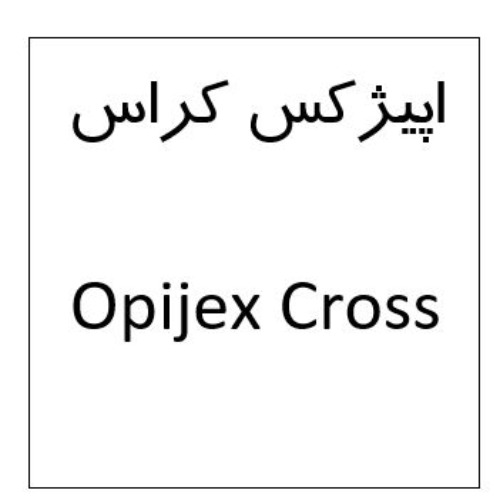 علامت تجاری اپيژكس كراس متعلق به شرکت نانو دارو پژوهان پردیس