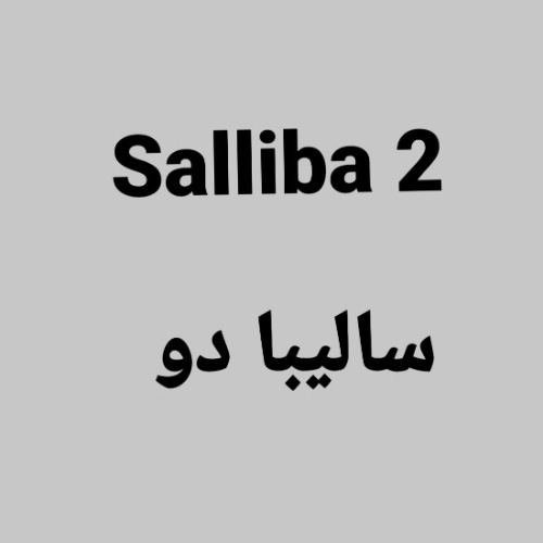 علامت تجاری 2  ساليبا دو متعلق به شرکت صنایع غذایی پارت سامان پایا