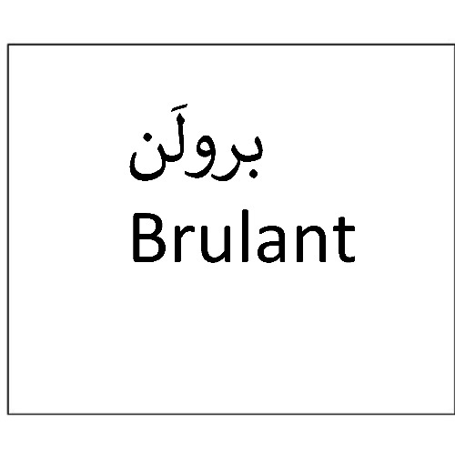 علامت تجاری برولن  متعلق به شرکت دارو سازی تهران دارو