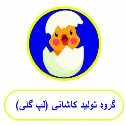 علامت تجاری گروه توليد كاشاني (لپ گلي) متعلق به شرکت چهل حصاران مرغ لپ گلی کاشان