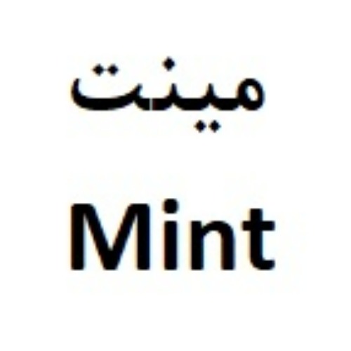 علامت تجاری مينت  متعلق به شرکت پاکان پلاستکار