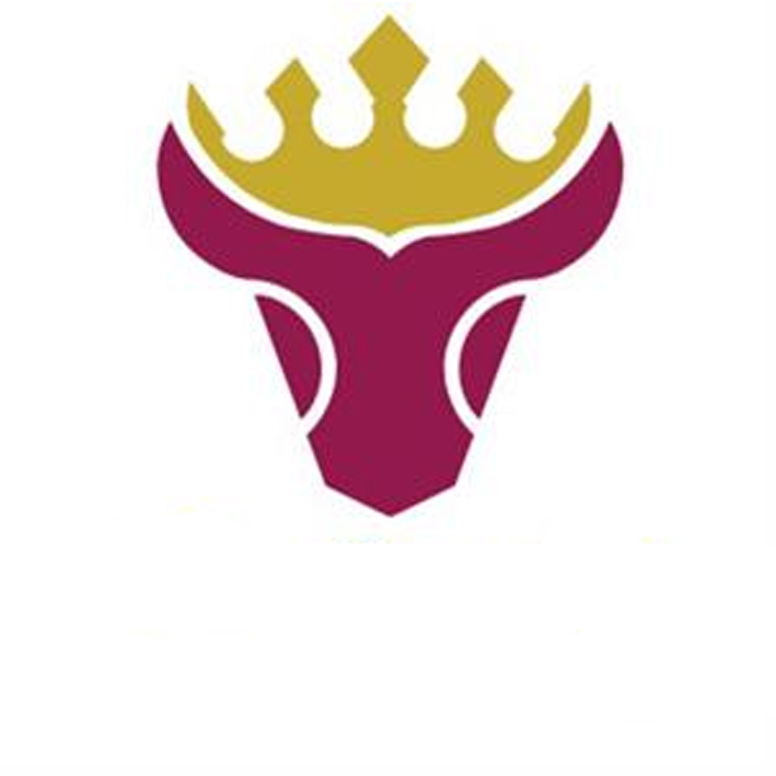 علامت تجاری  متعلق به شرکت کیان تجارت باران