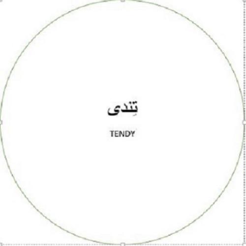 علامت تجاری تندي متعلق به شرکت انتخاب سرویس حامی
