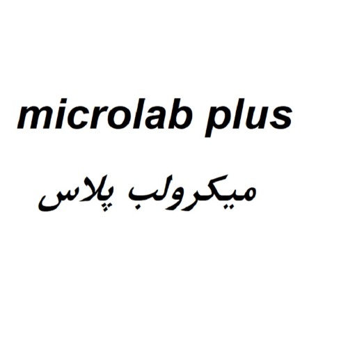 علامت تجاری ميكرولب پلاس متعلق به شرکت بیت پرداز