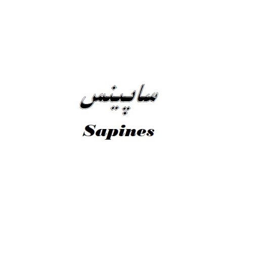 علامت تجاری ساپينس   متعلق به شرکت تولیدی صنایع غذایی کامبیز