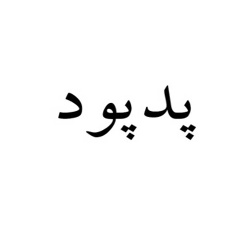 علامت تجاری پد پود متعلق به شرکت صامت تک خزر