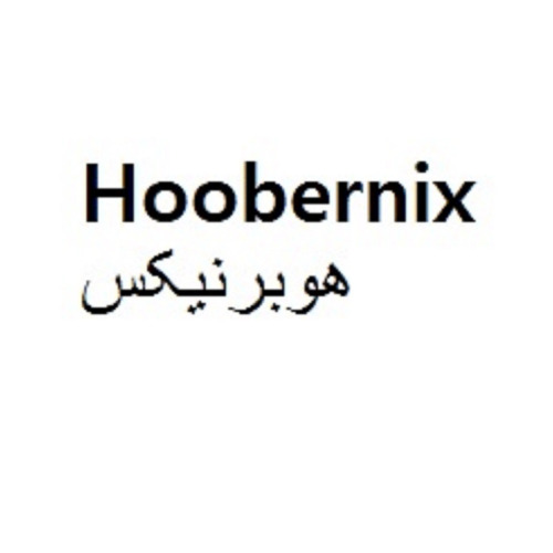 علامت تجاری هوبرنيكس  متعلق به شرکت رهیاب پیام گستران