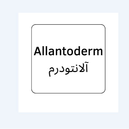 علامت تجاری آلانتودرم متعلق به شرکت نیکان طب کیمیا