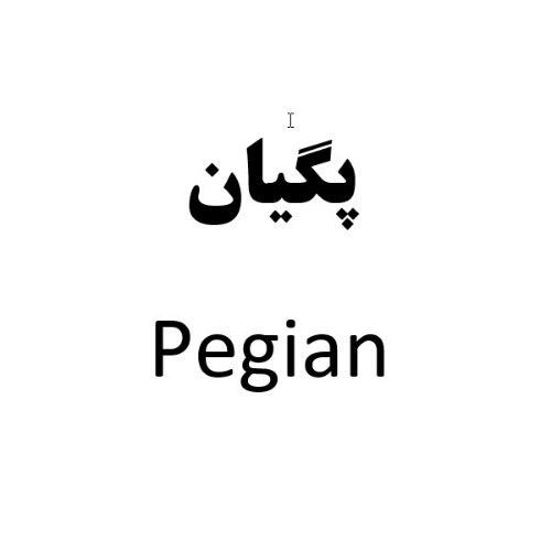 علامت تجاری پگيان  متعلق به شرکت تولید پژوهش و توسعه فناوری نوین تک مطهر